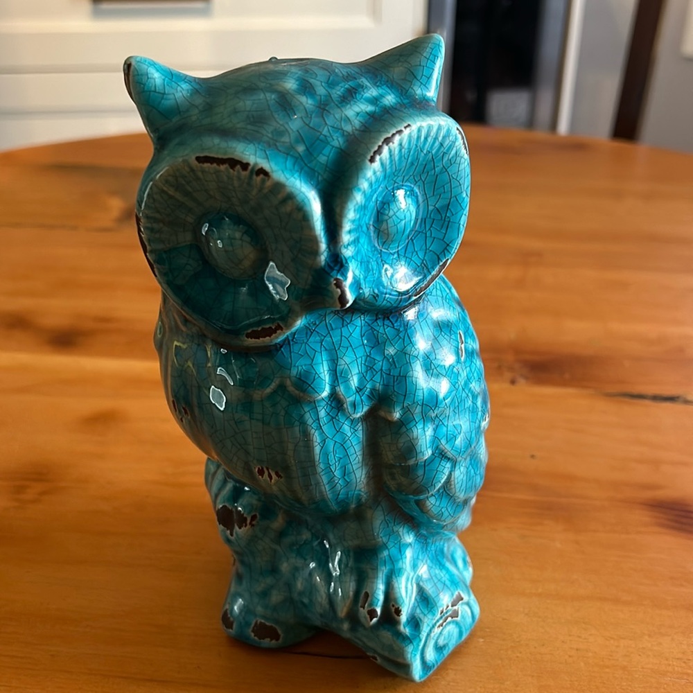 Blue hooter owl